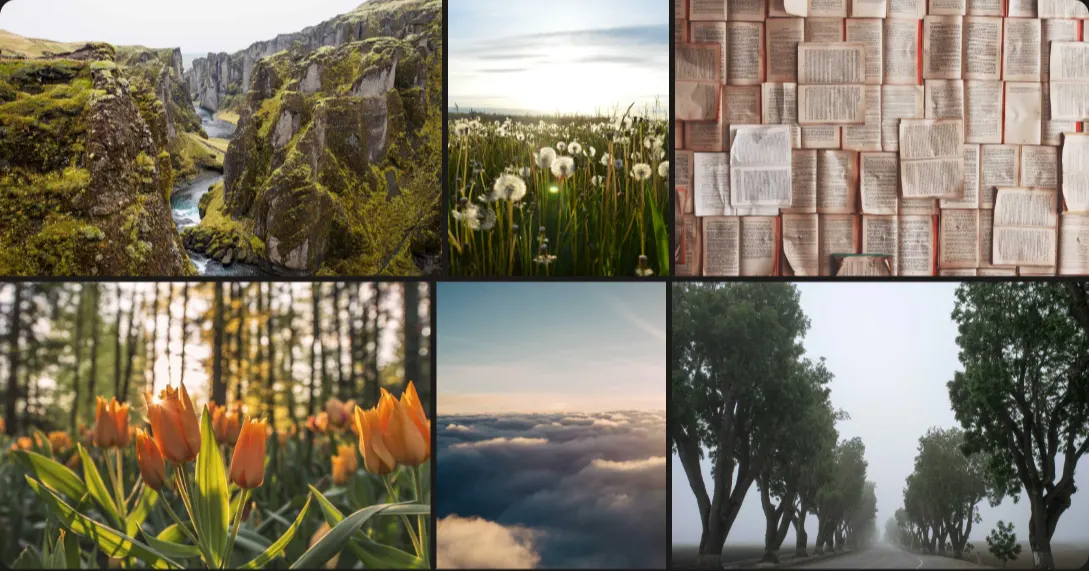 A responsive Nuxt Photo album with two rows of landscape and portrait photos